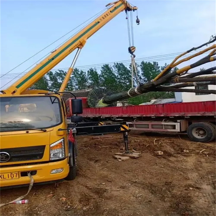 武昌100吨吊车租赁费用怎么算？3大关键因素+省钱技巧全解析